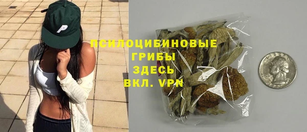 стаф Алексеевка